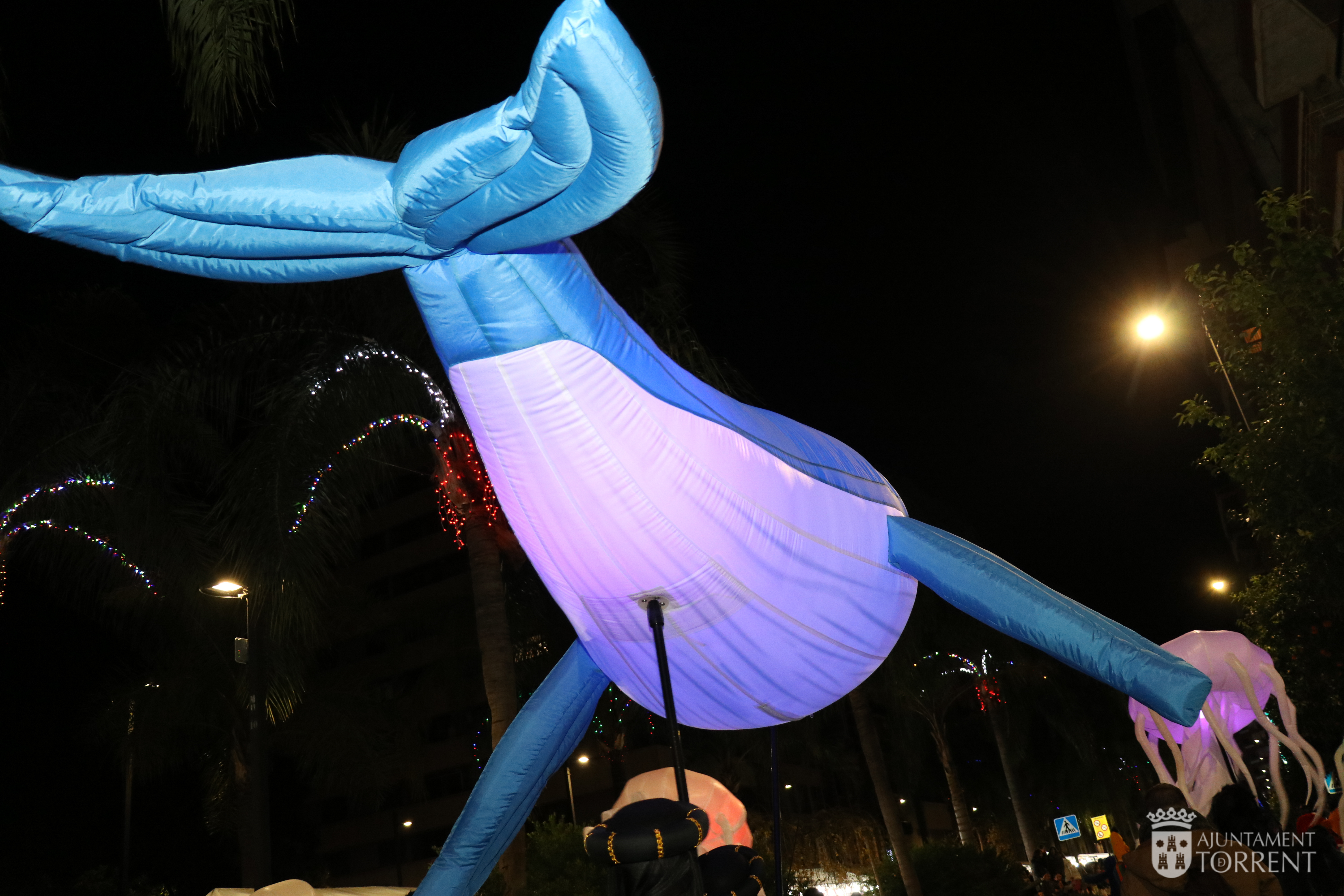 Ballenas y Medusas