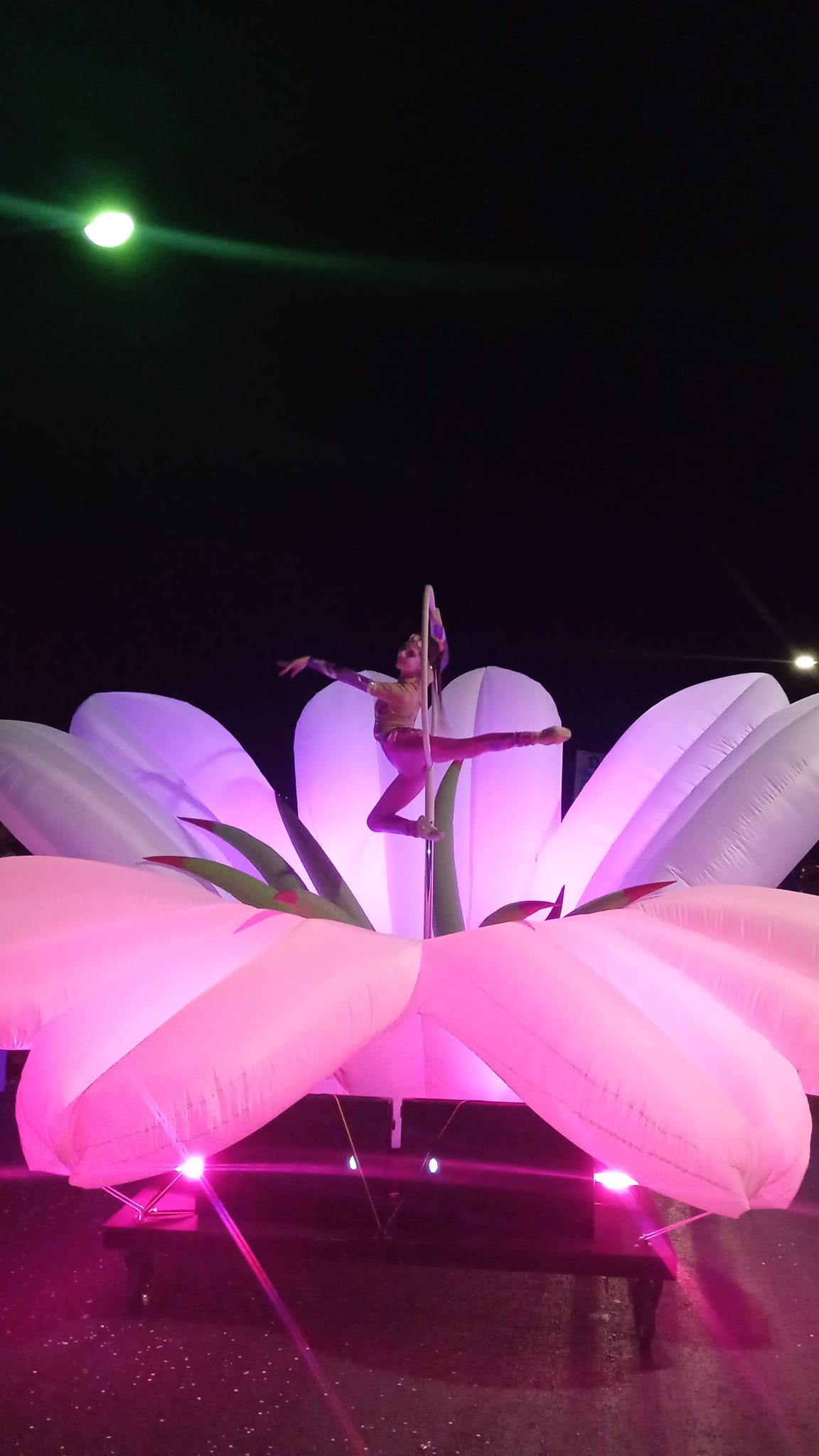 Carroza Flor con Acrobata