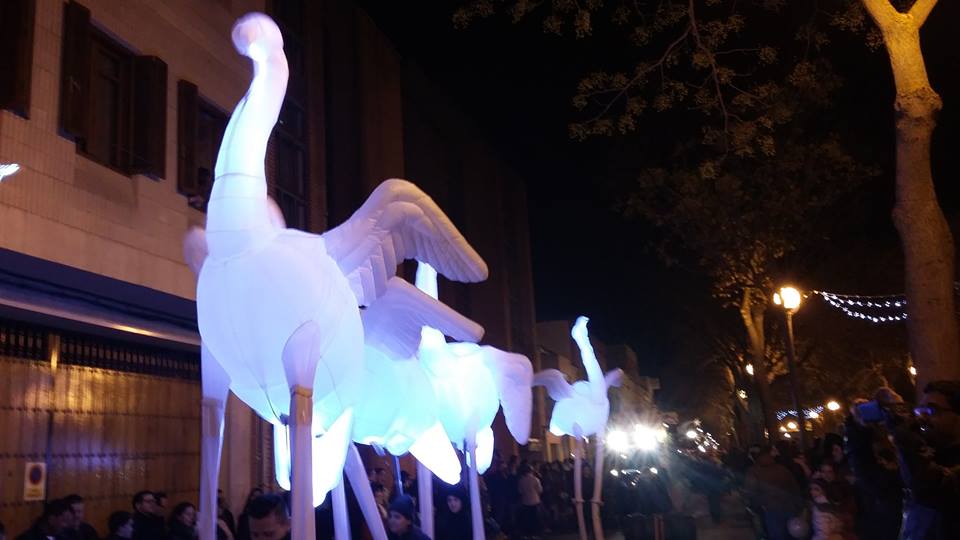 Flamencos