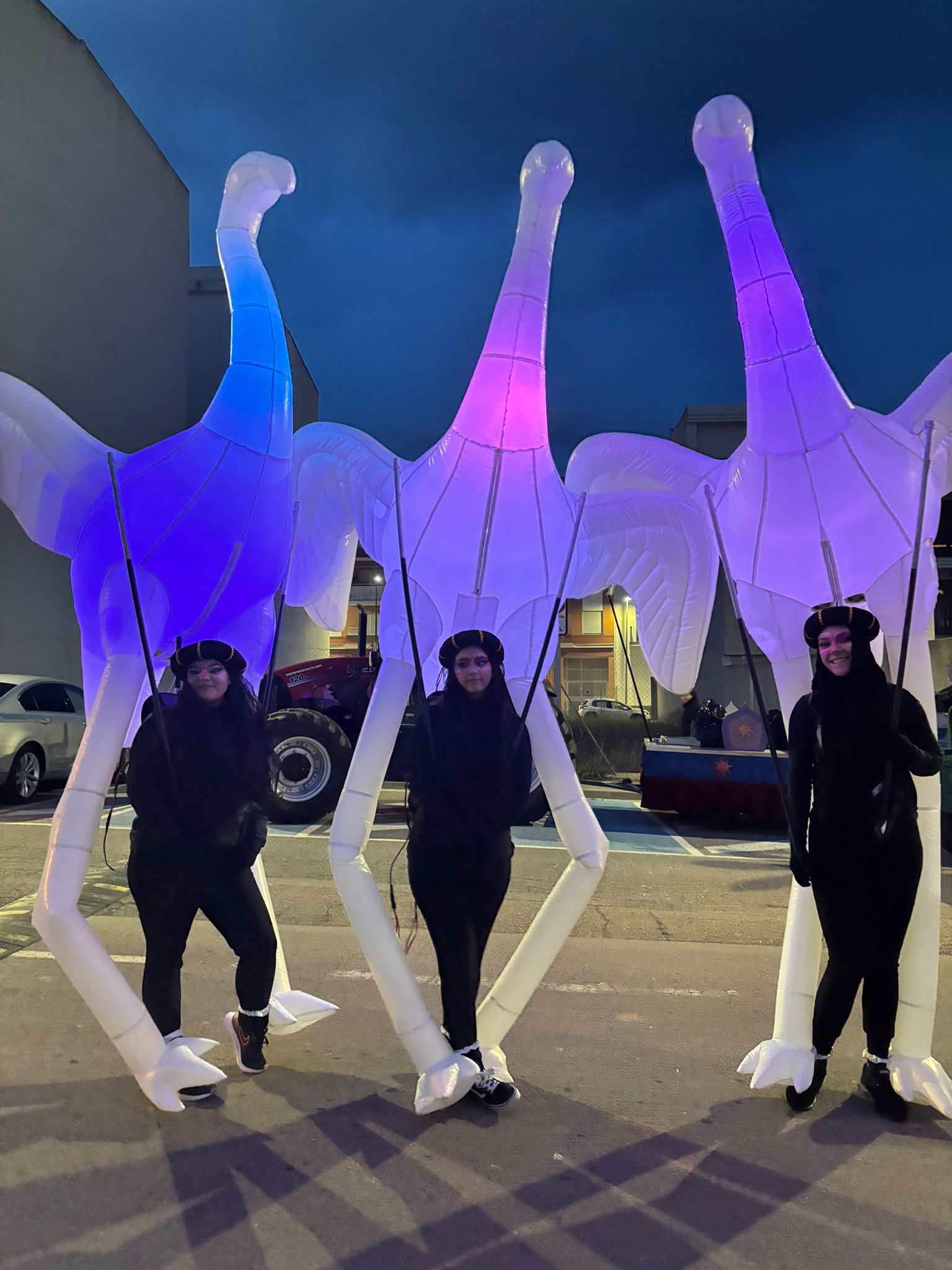 Flamencos