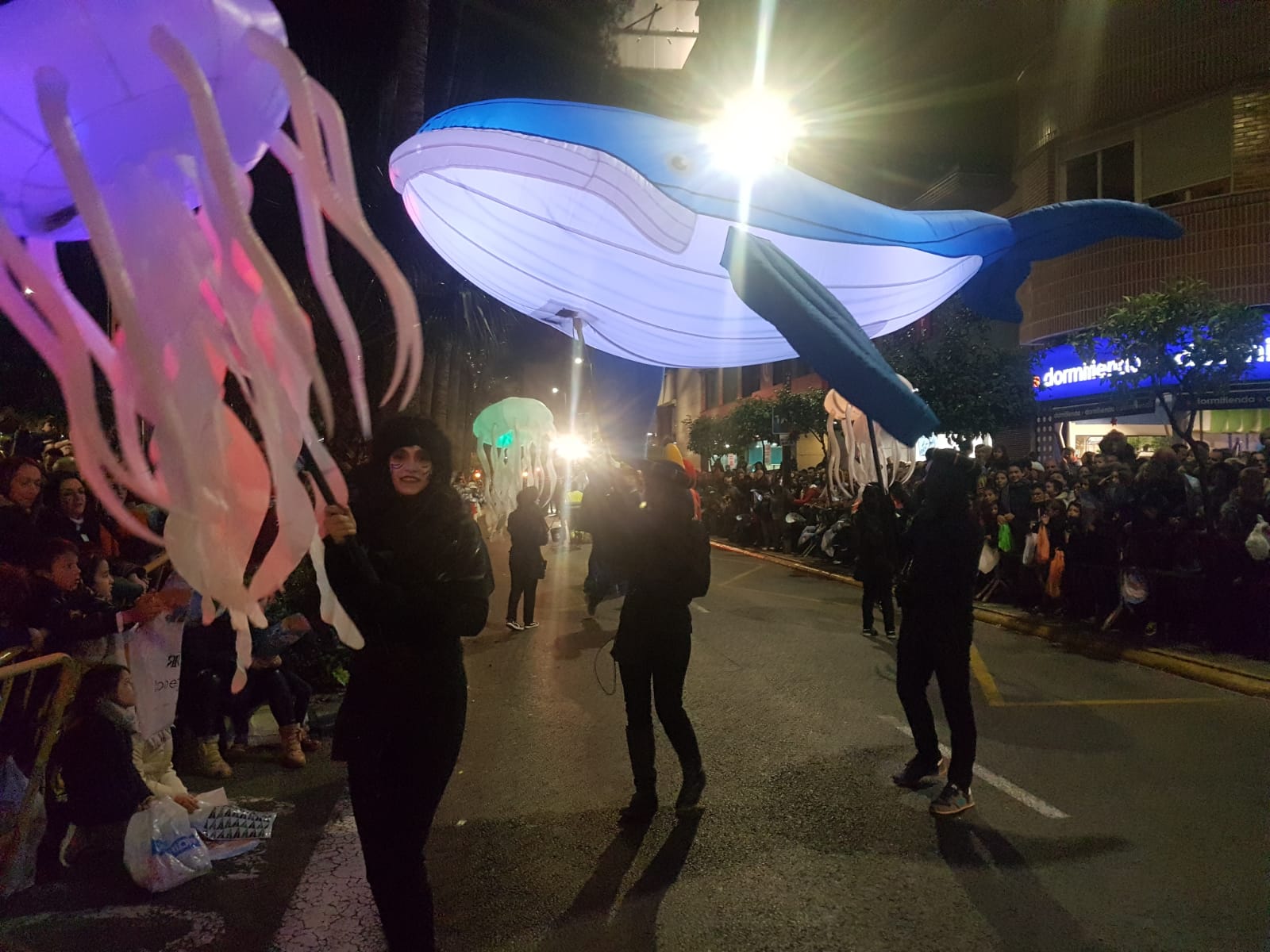 Ballenas y Medusas
