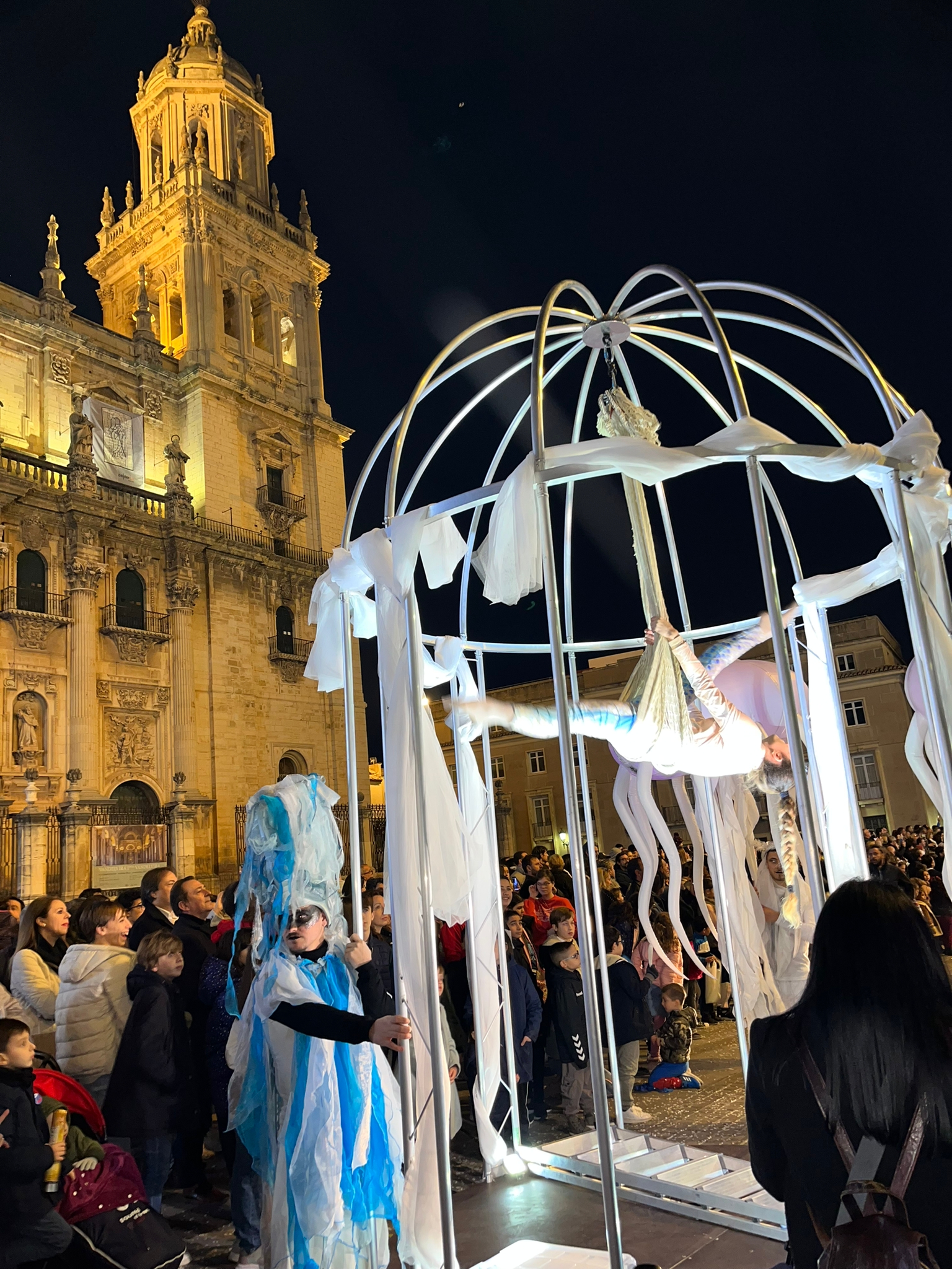 Jaula Acrobatica
