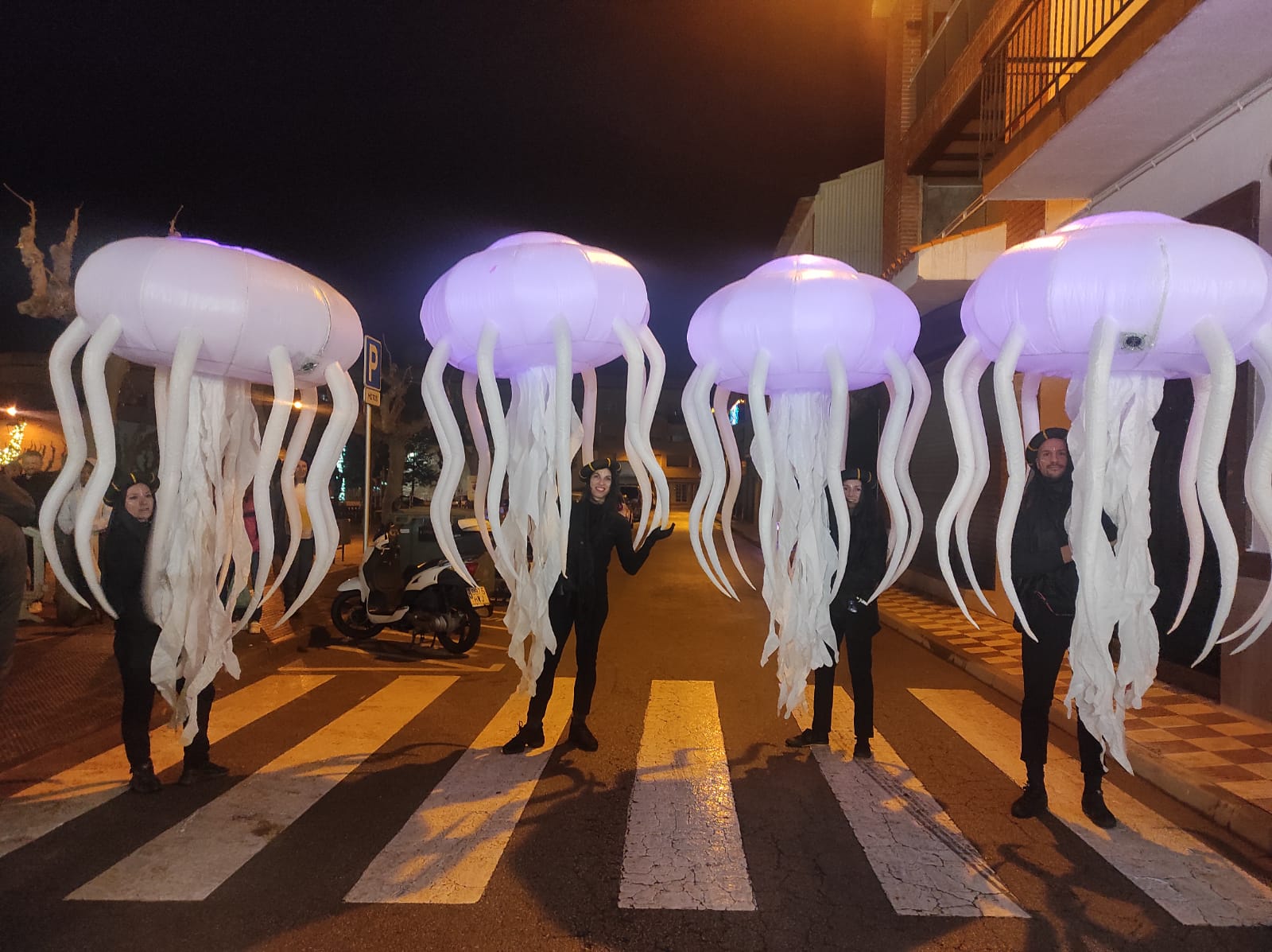 Ballenas y Medusas