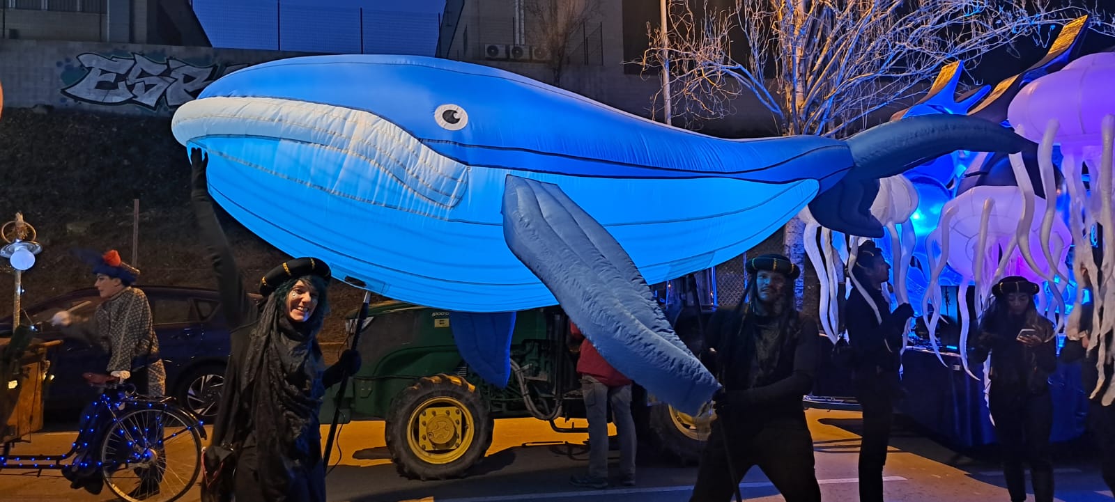 Ballenas y Medusas