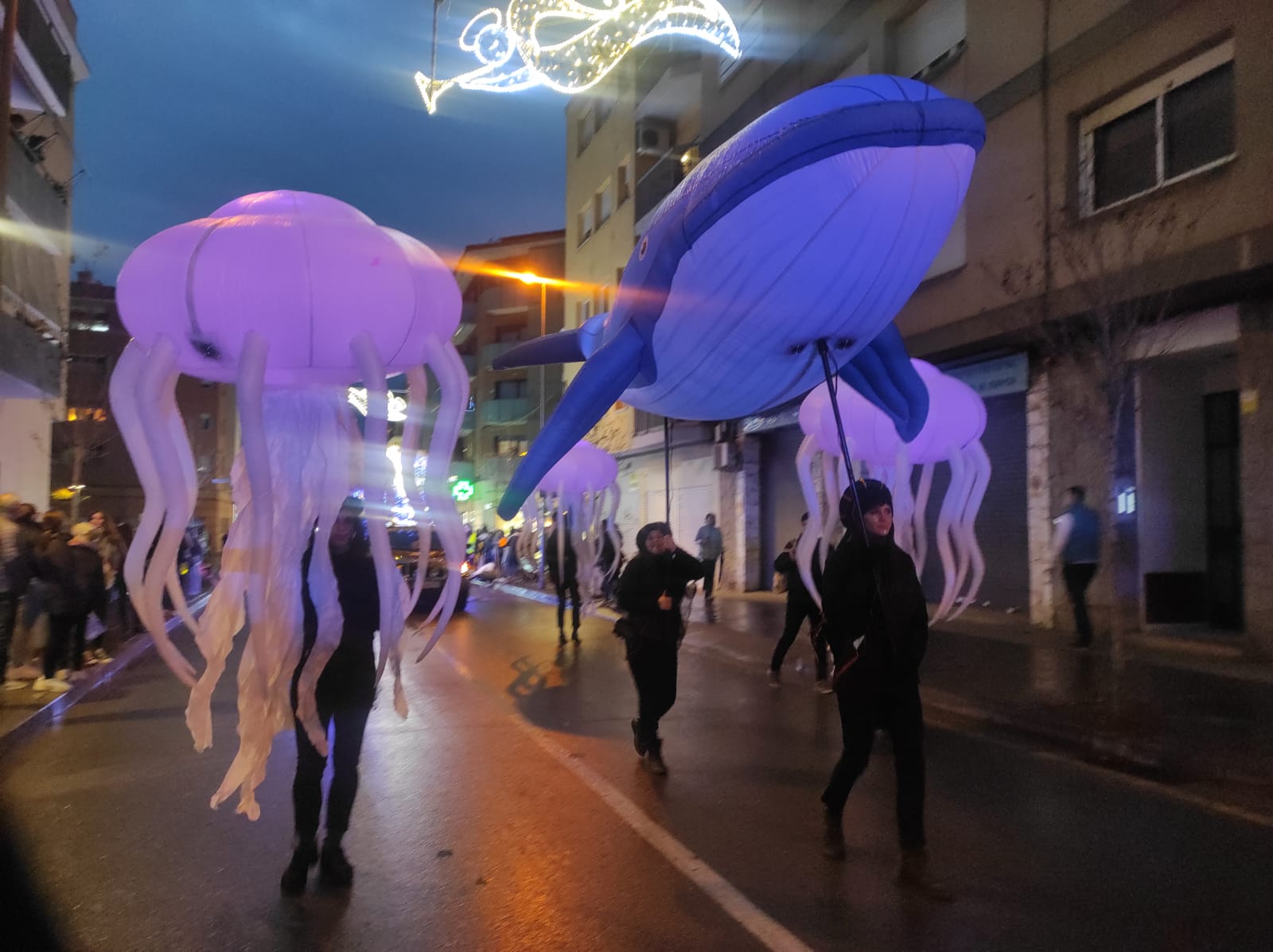 Ballenas y Medusas